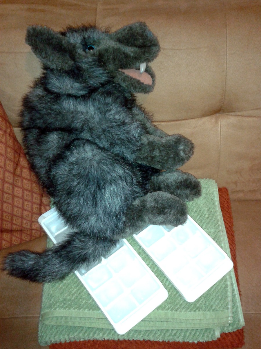 lobo en hielo